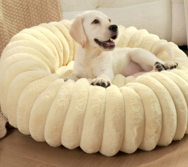Chiquito Pumpkin Shape Dog Bed