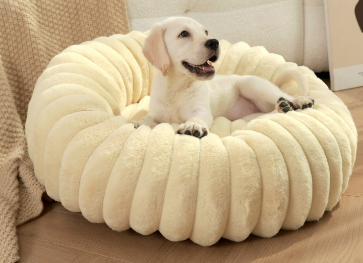 Chiquito Pumpkin Shape Dog Bed